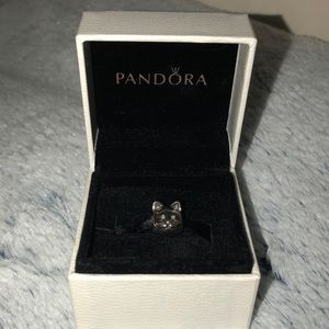 Pandora cat charm